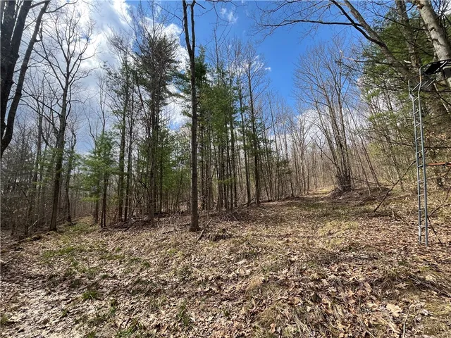 $209,900 | Mallory Road, Chemung, NY 14825