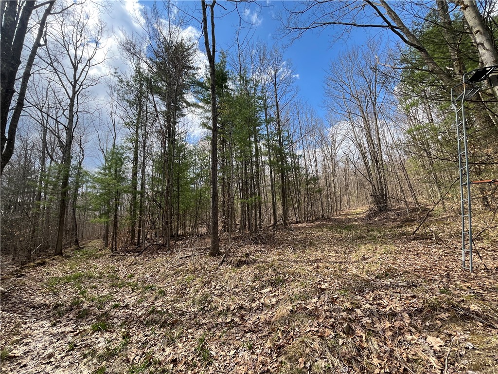 Mallory Road Chemung, NY 14825 - Photo 31 of 50