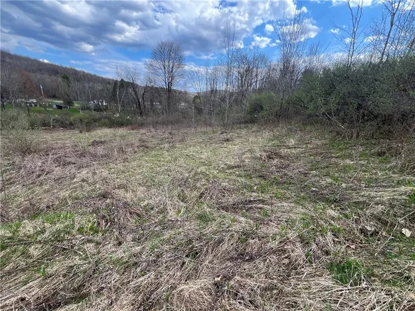 $180,000 | Mallory Road, Chemung, NY 14825