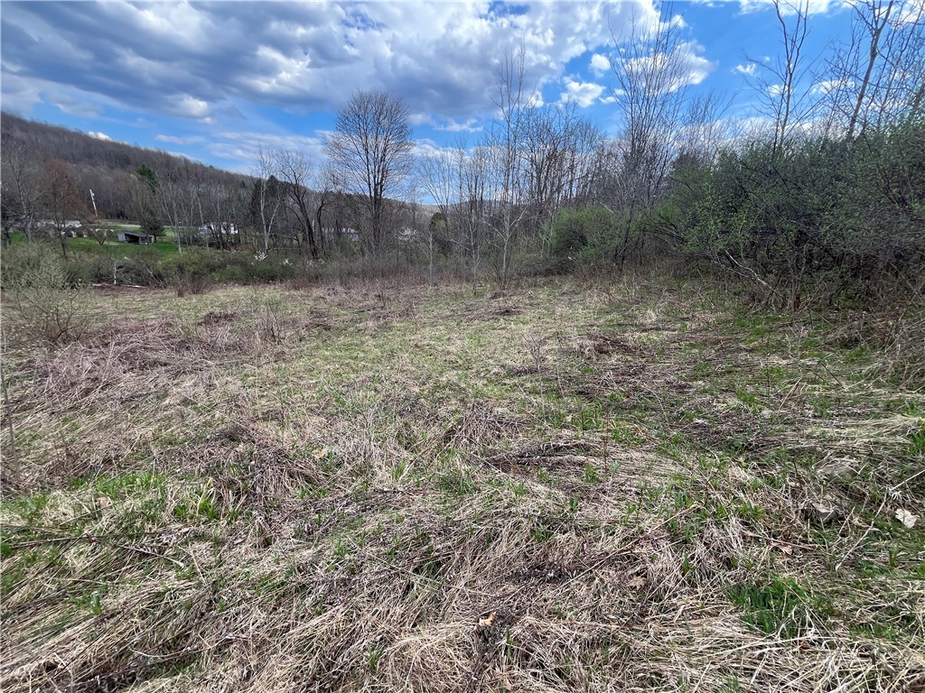 Mallory Road Chemung, NY 14825 - Photo 32 of 50