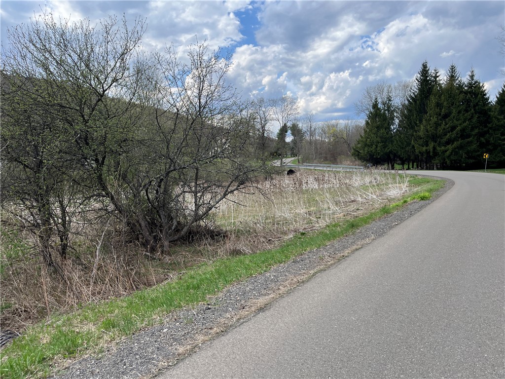 Mallory Road Chemung, NY 14825 - Photo 33 of 50