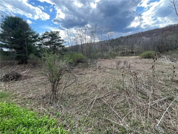 $180,000 | Mallory Road, Chemung, NY 14825