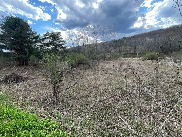 $209,900 | Mallory Road, Chemung, NY 14825