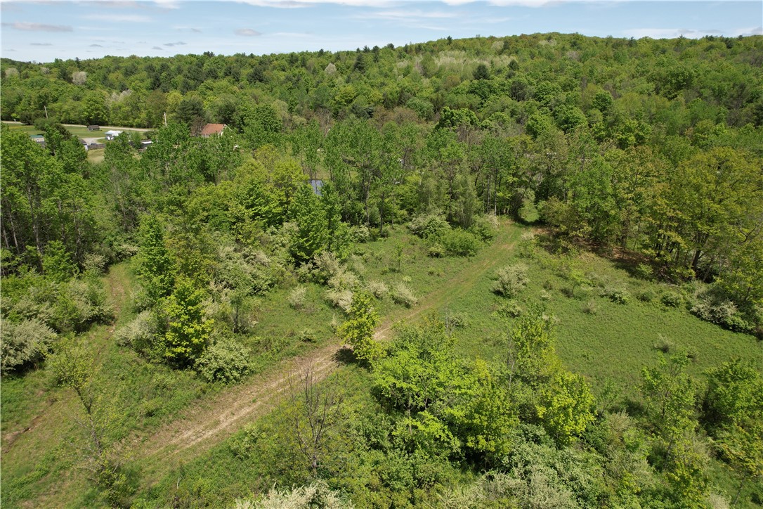 Mallory Road Chemung, NY 14825 - Photo 35 of 50