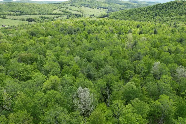 $180,000 | Mallory Road, Chemung, NY 14825