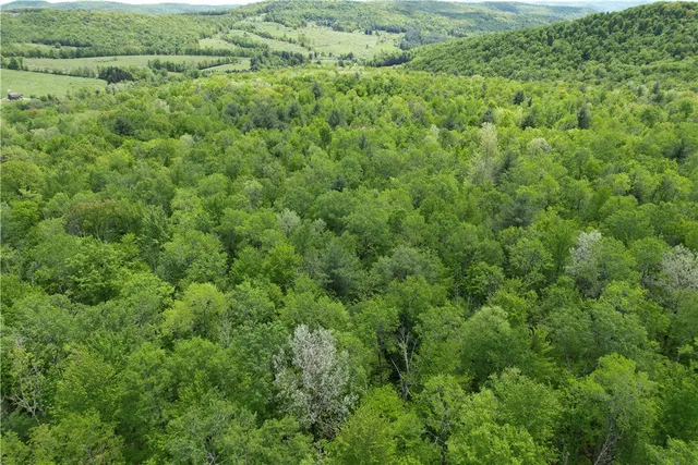 $209,900 | Mallory Road, Chemung, NY 14825