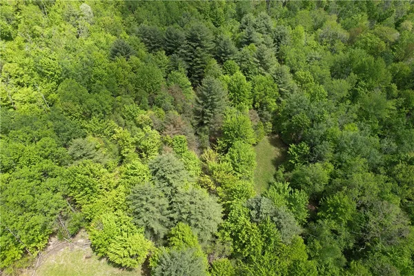 $180,000 | Mallory Road, Chemung, NY 14825