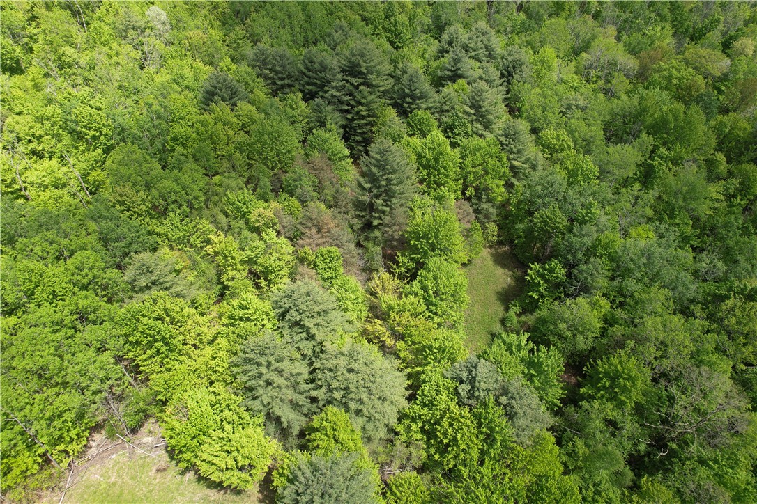 Mallory Road Chemung, NY 14825 - Photo 40 of 50