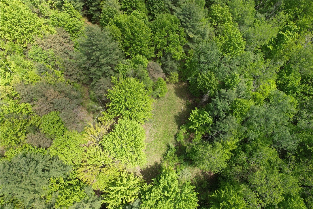 Mallory Road Chemung, NY 14825 - Photo 41 of 50