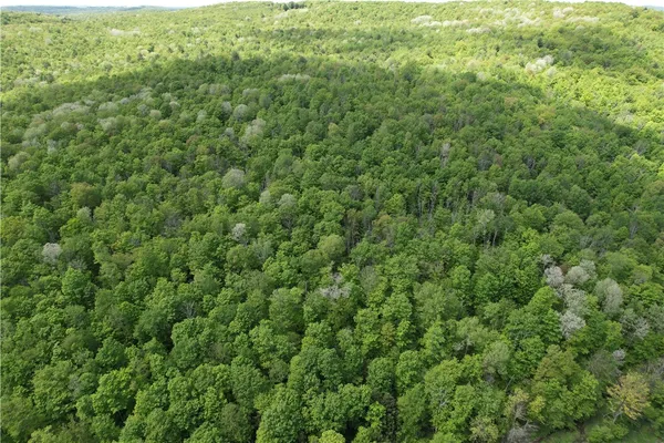 $180,000 | Mallory Road, Chemung, NY 14825