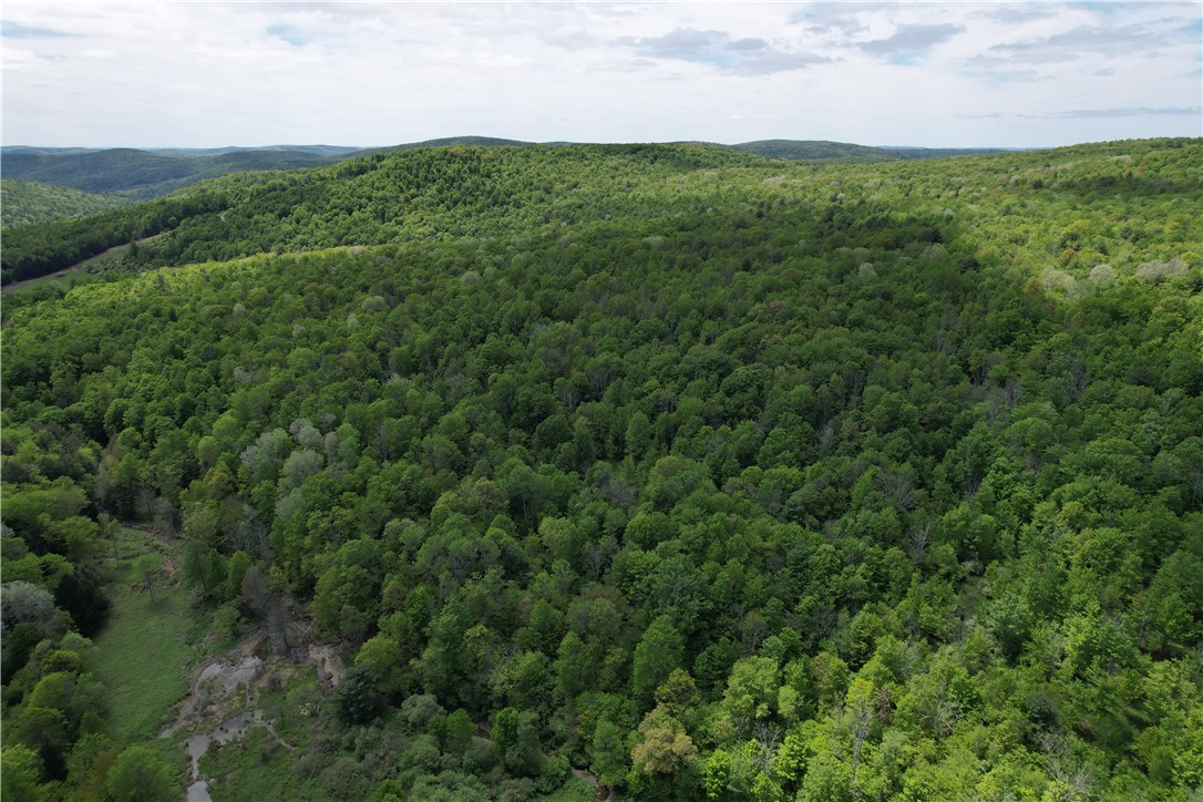 Mallory Road Chemung, NY 14825 - Photo 43 of 50