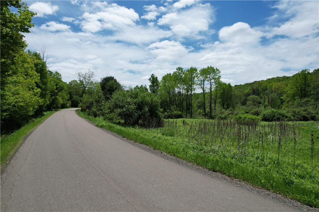 Mallory Road Chemung, NY 14825 - Photo 45 of 50