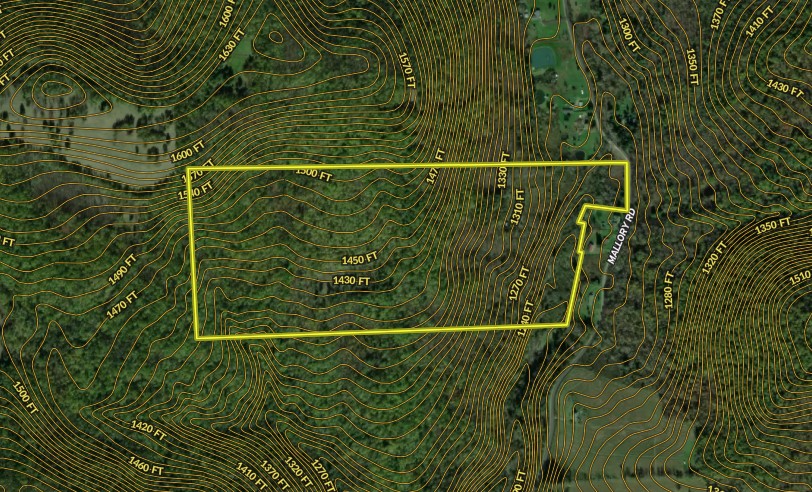 Mallory Road Chemung, NY 14825 - Photo 46 of 50