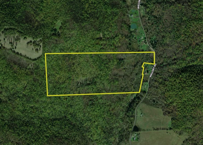 Mallory Road Chemung, NY 14825 - Photo 47 of 50