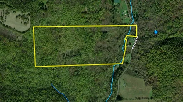 $180,000 | Mallory Road, Chemung, NY 14825