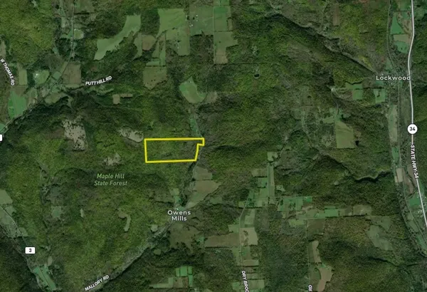 $180,000 | Mallory Road, Chemung, NY 14825