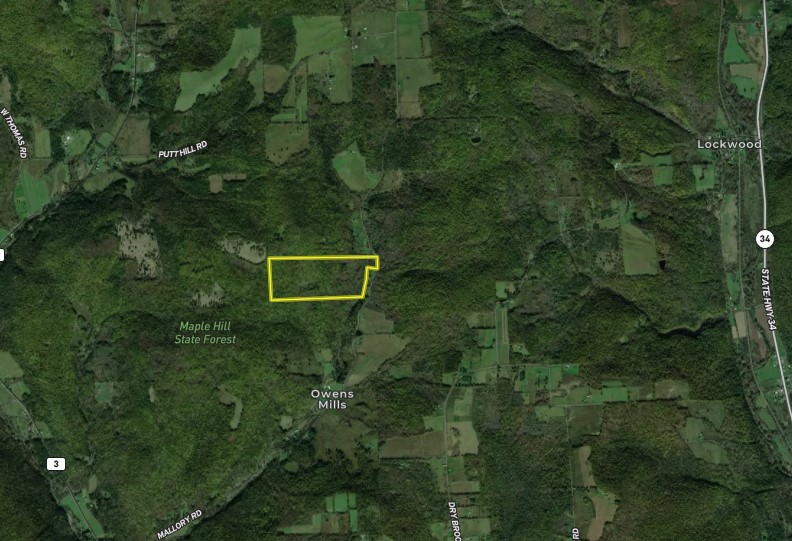 Mallory Road Chemung, NY 14825 - Photo 49 of 50