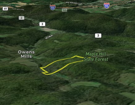 Mallory Road Chemung, NY 14825 - Photo 50 of 50