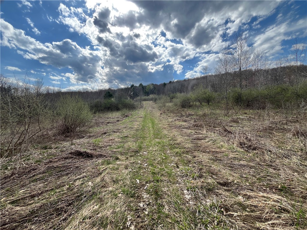 Mallory Road Chemung, NY 14825 - Photo 5 of 50