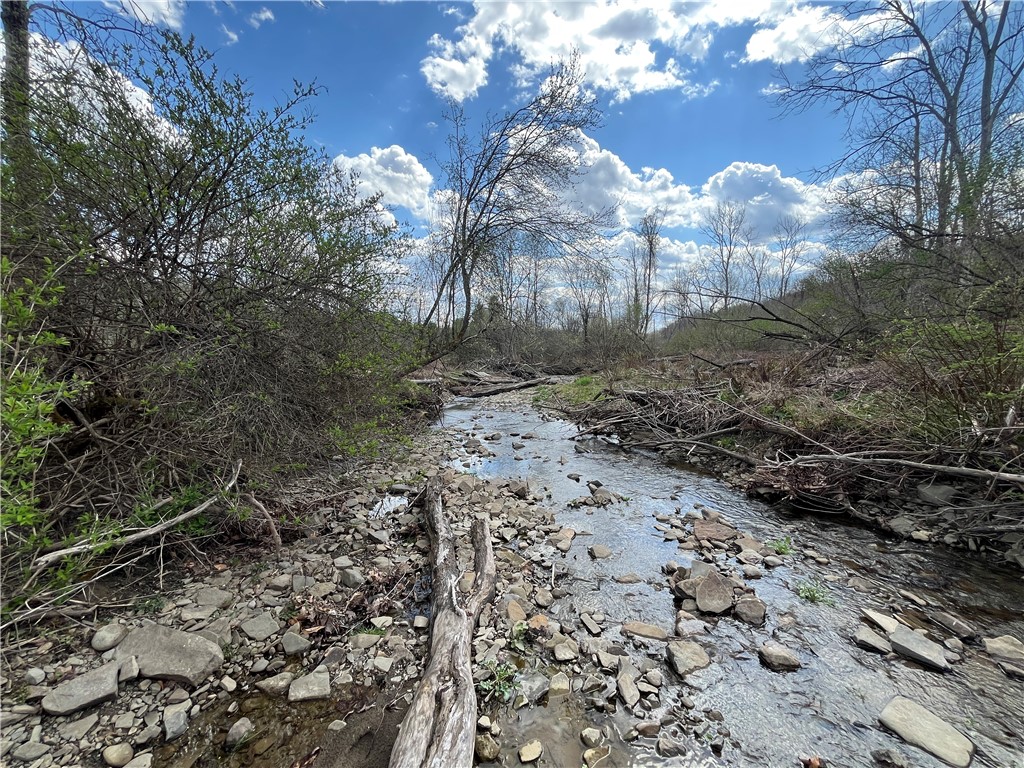 Mallory Road Chemung, NY 14825 - Photo 6 of 50