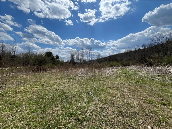 $180,000 | Mallory Road, Chemung, NY 14825