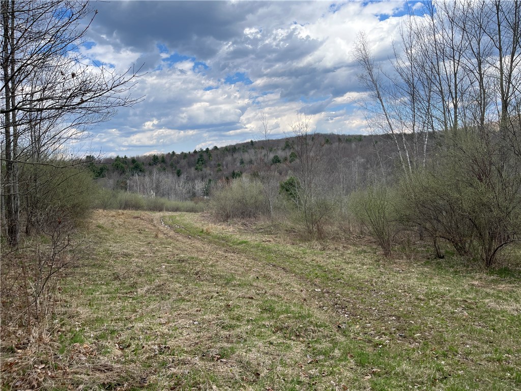 Mallory Road Chemung, NY 14825 - Photo 8 of 50