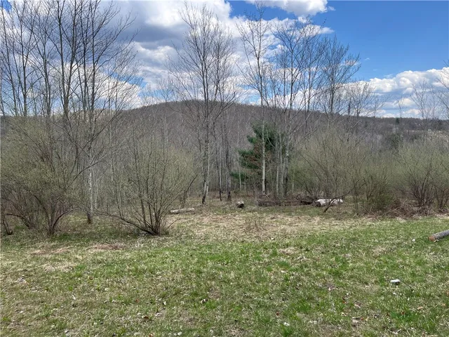 $209,900 | Mallory Road, Chemung, NY 14825