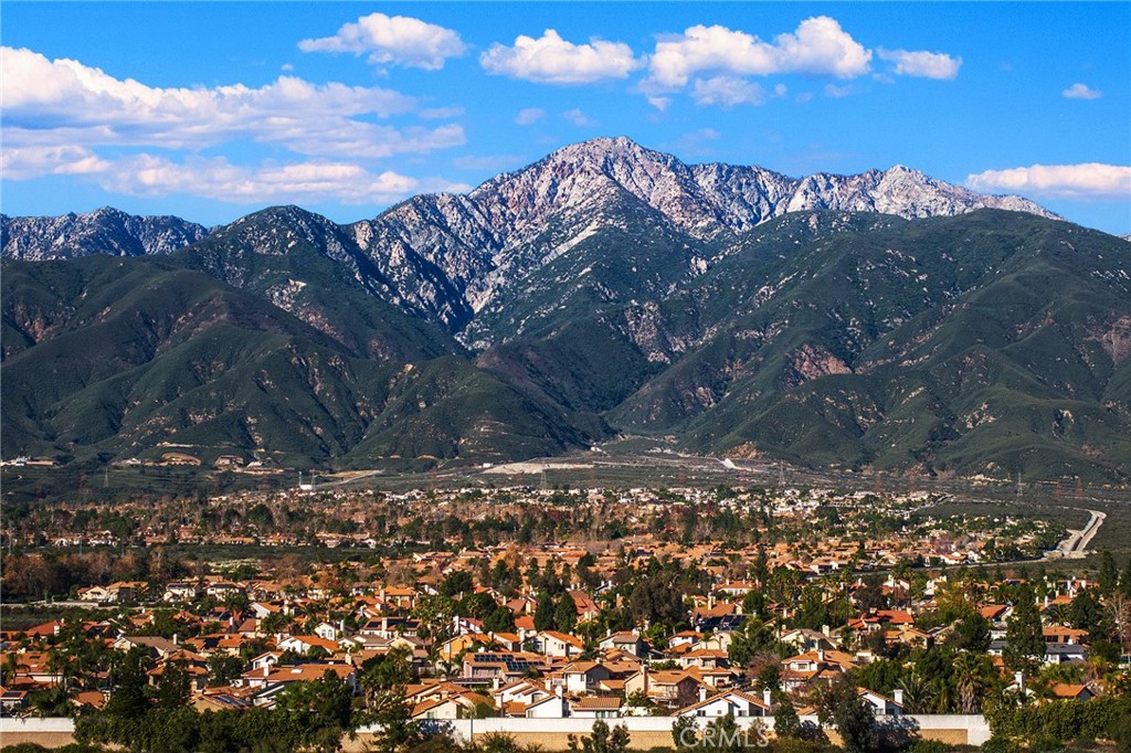 6598 Bradford Court Rancho Cucamonga, CA 91701 - Photo 48 of 48 a view of a dry yard