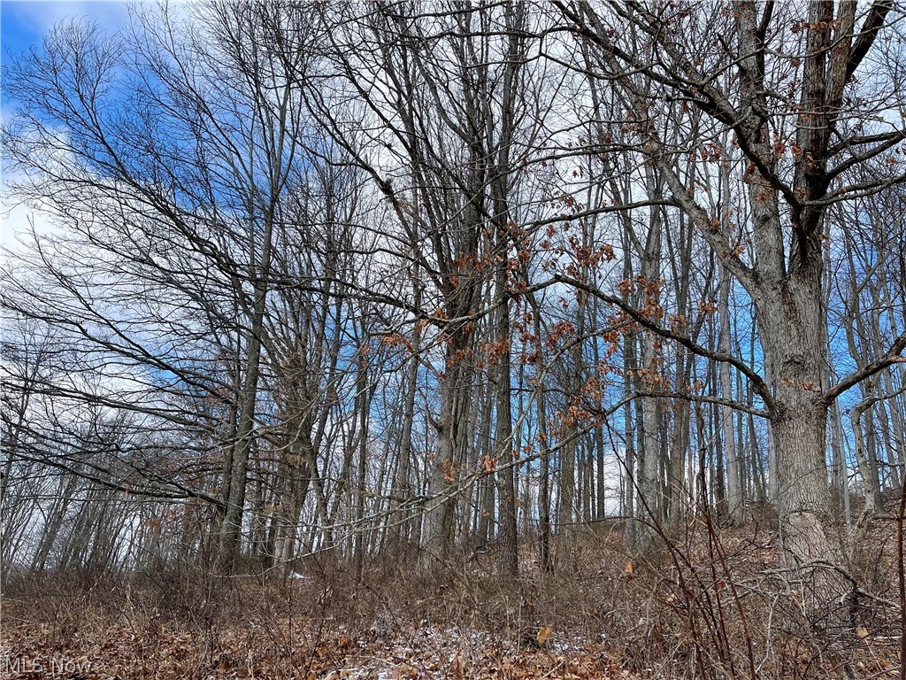 16602 Dog Road Southwest Newcomerstown, OH 43832 - Photo 10 of 29 Gallery Image 10