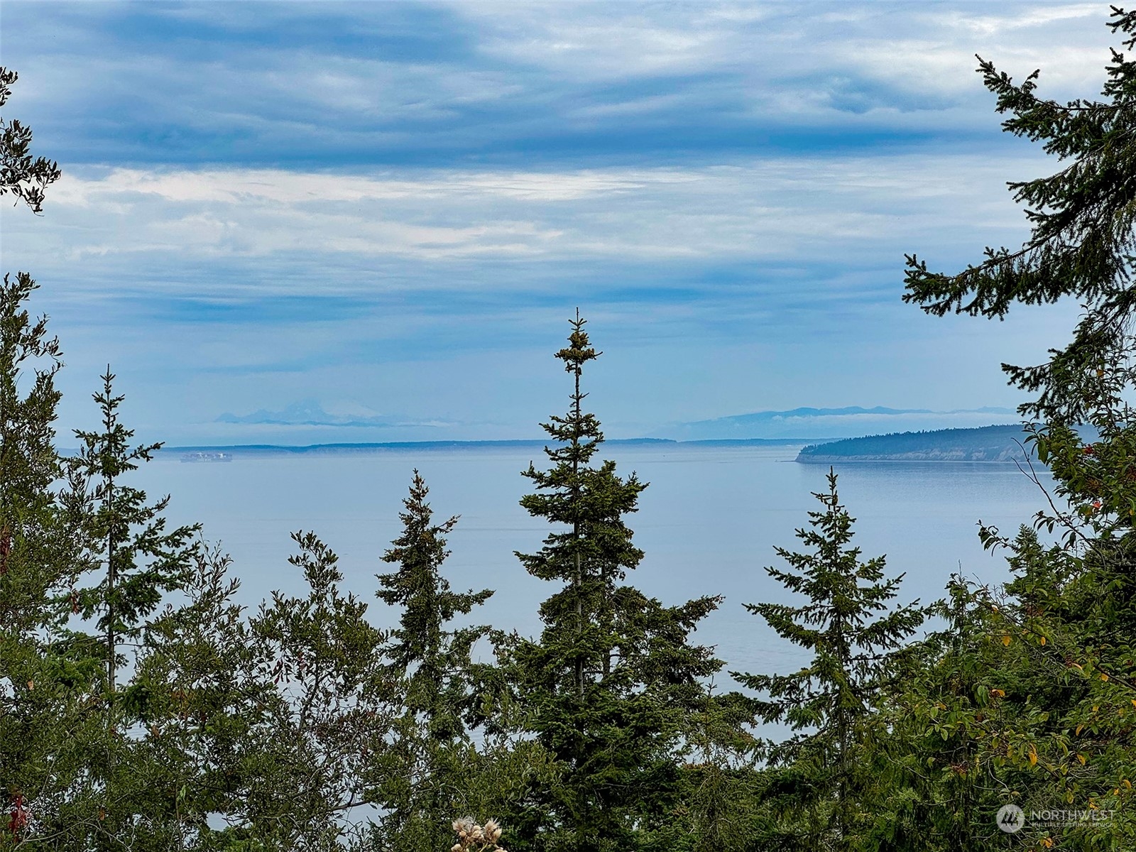 51 Huckleberry Circle Sequim, WA 98382 - Photo 37 of 40