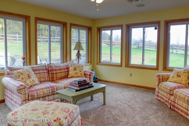 991 Herrick Ridge Union Dale, PA 18470 - Photo 18 of 41