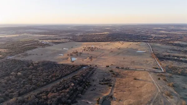a view of a dry yard