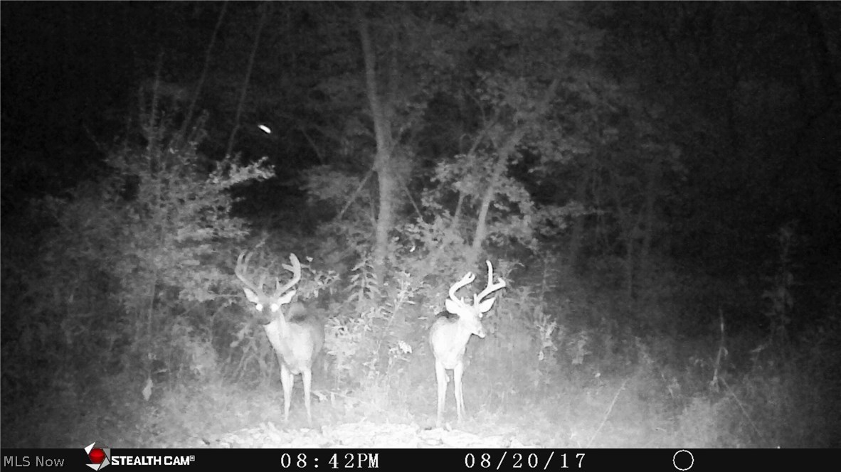 2240 School House Road Little Hocking, OH 45742 - Photo 3 of 14 Gallery Image 3