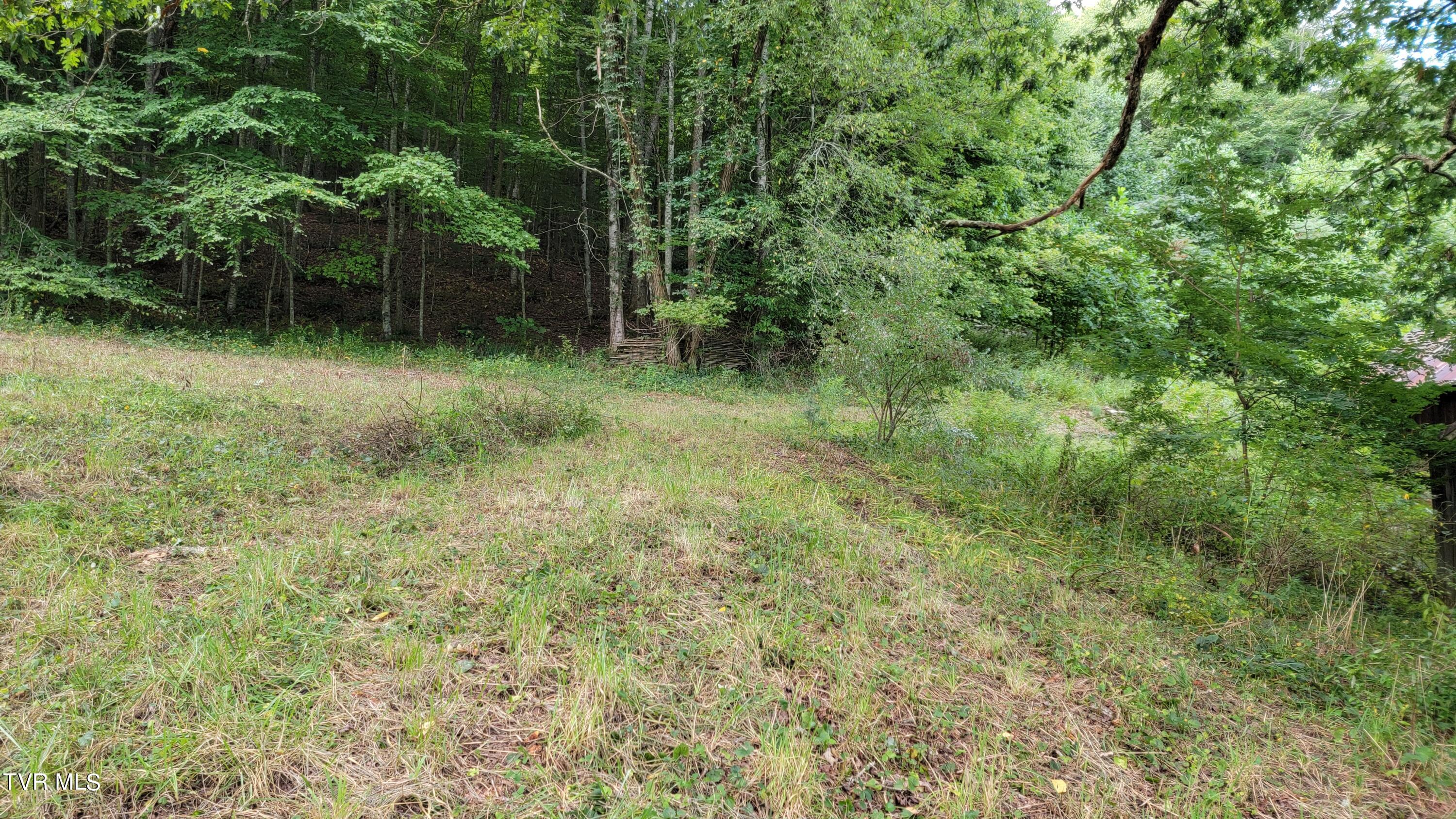 0 Dry Stone Branch Road Mountain City, TN 37683 - Photo 2 of 11 20240903_094456