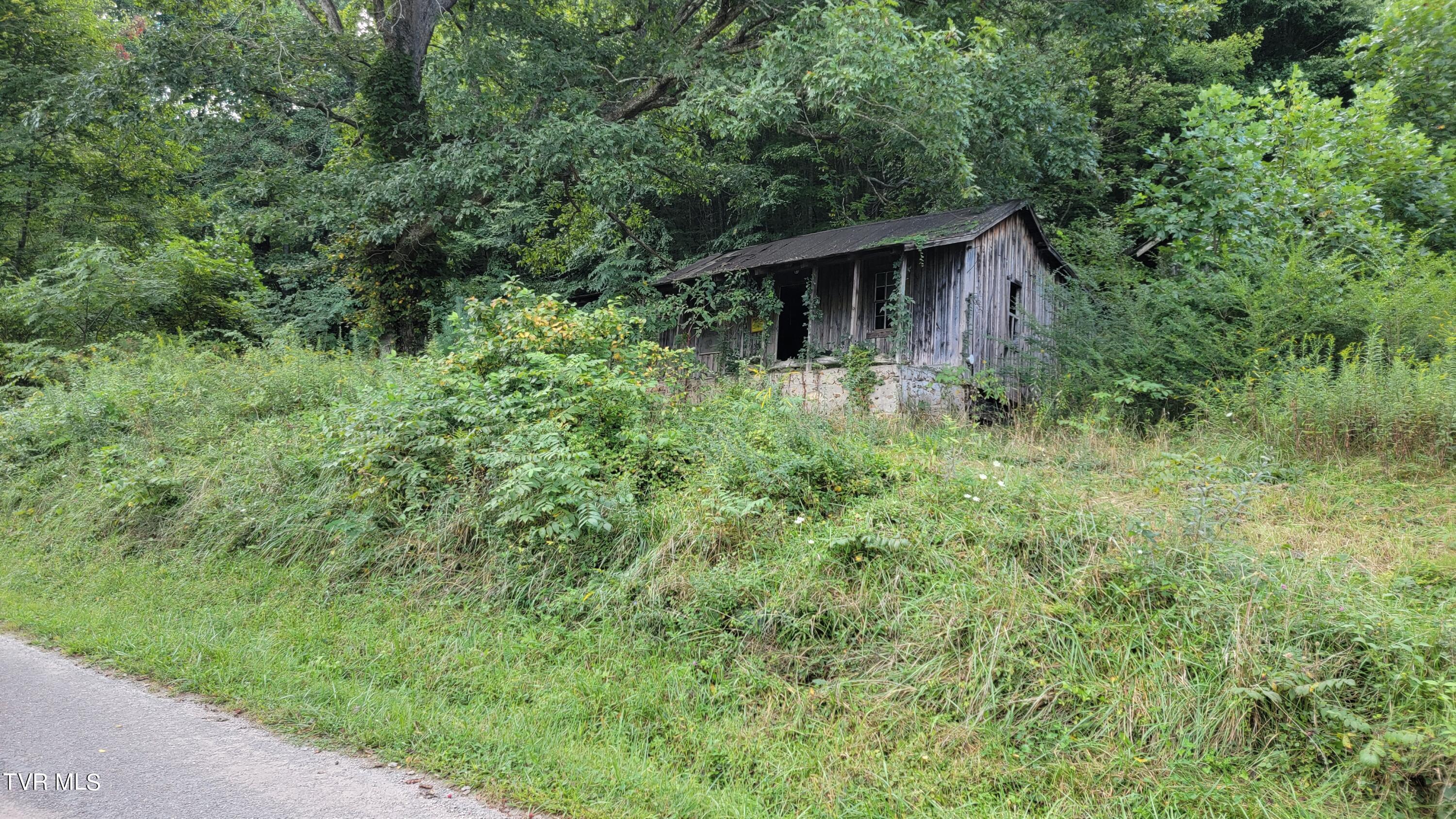 0 Dry Stone Branch Road Mountain City, TN 37683 - Photo 4 of 11 20240903_094359