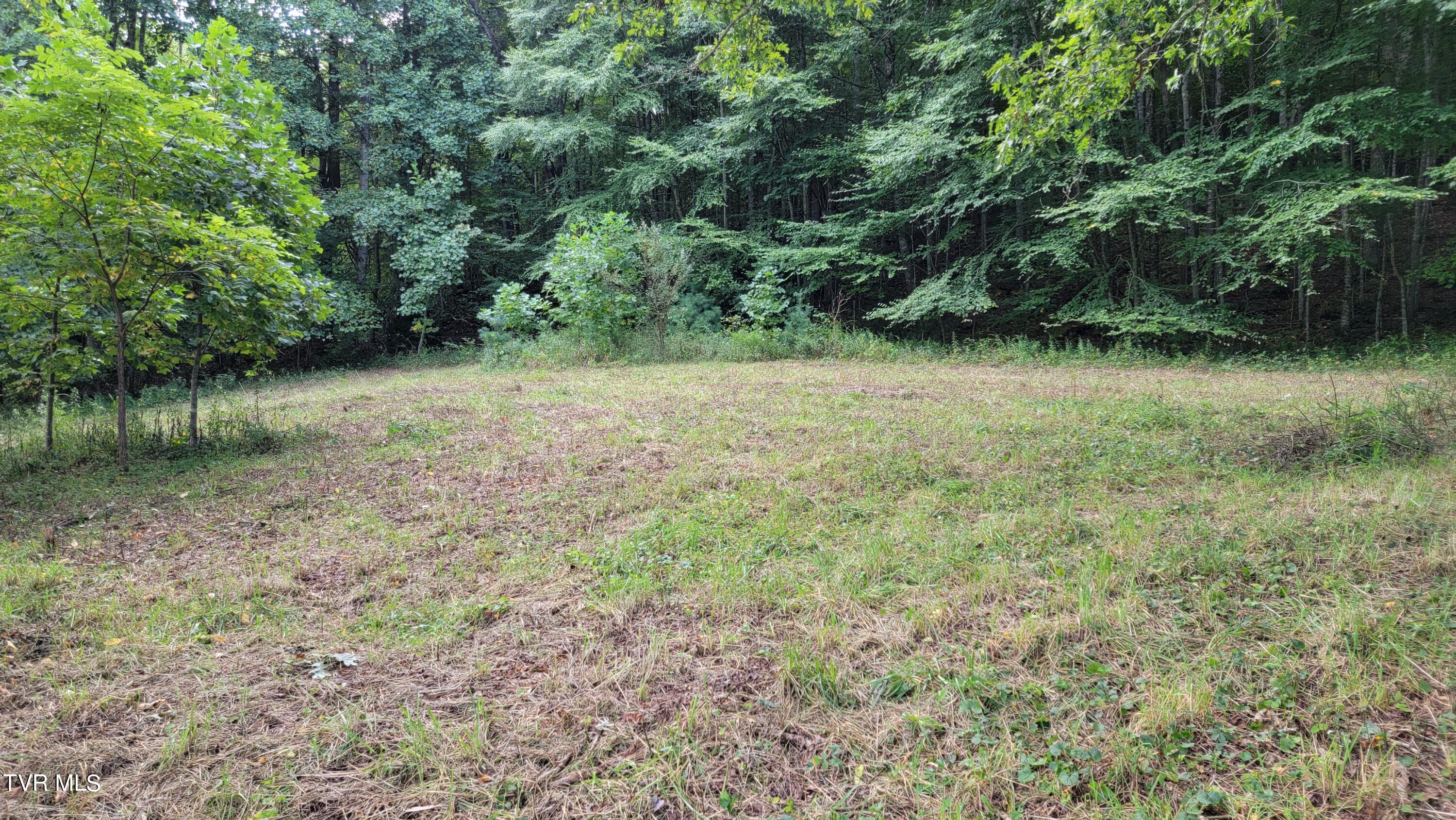 0 Dry Stone Branch Road Mountain City, TN 37683 - Photo 7 of 11 20240903_094447