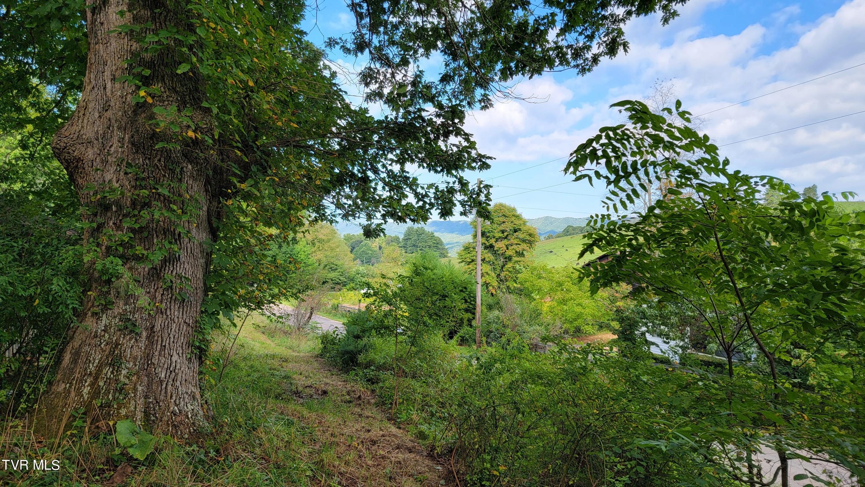 0 Dry Stone Branch Road Mountain City, TN 37683 - Photo 8 of 11 20240903_094509