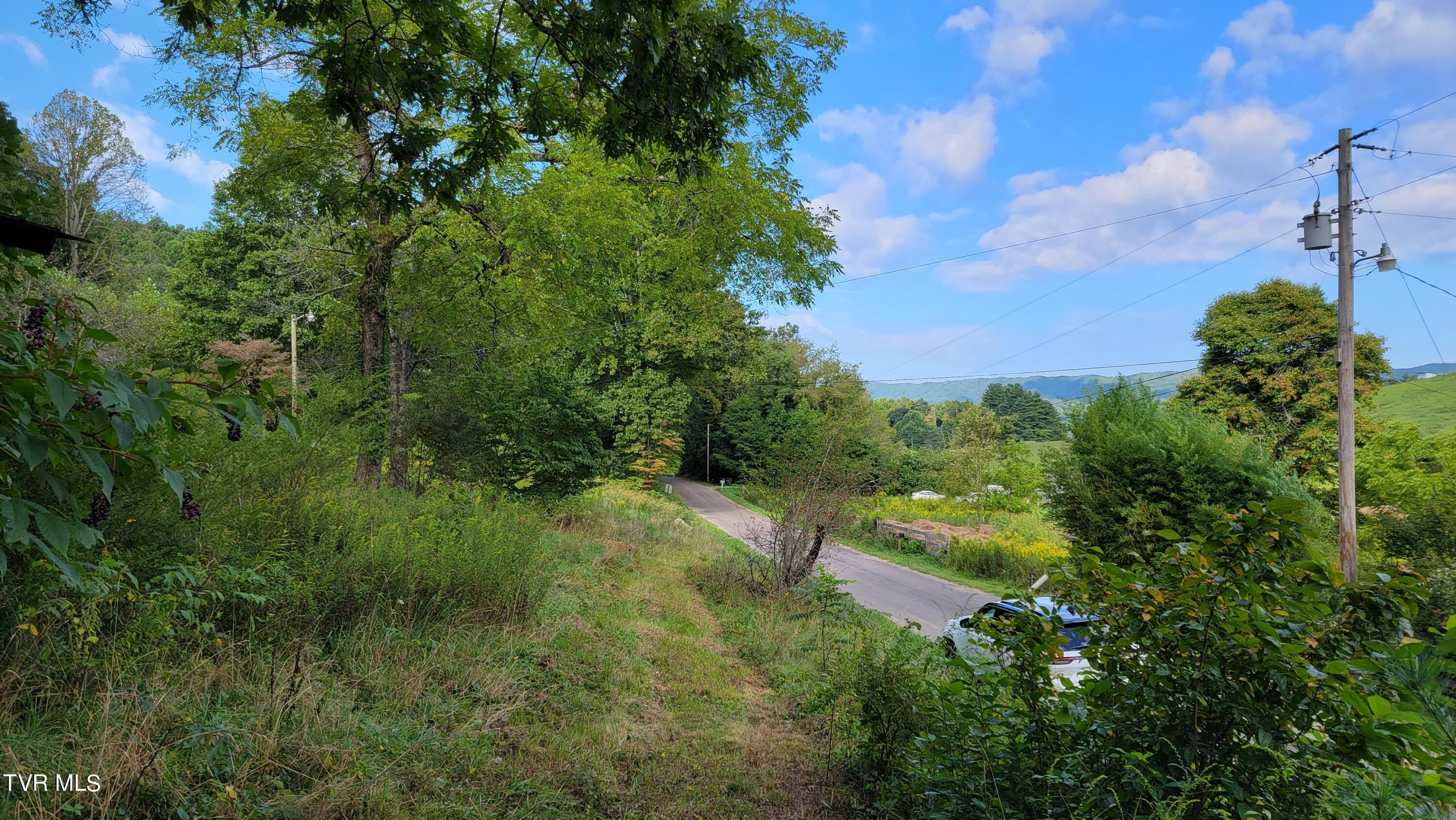 0 Dry Stone Branch Road Mountain City, TN 37683 - Photo 9 of 11 20240903_094527