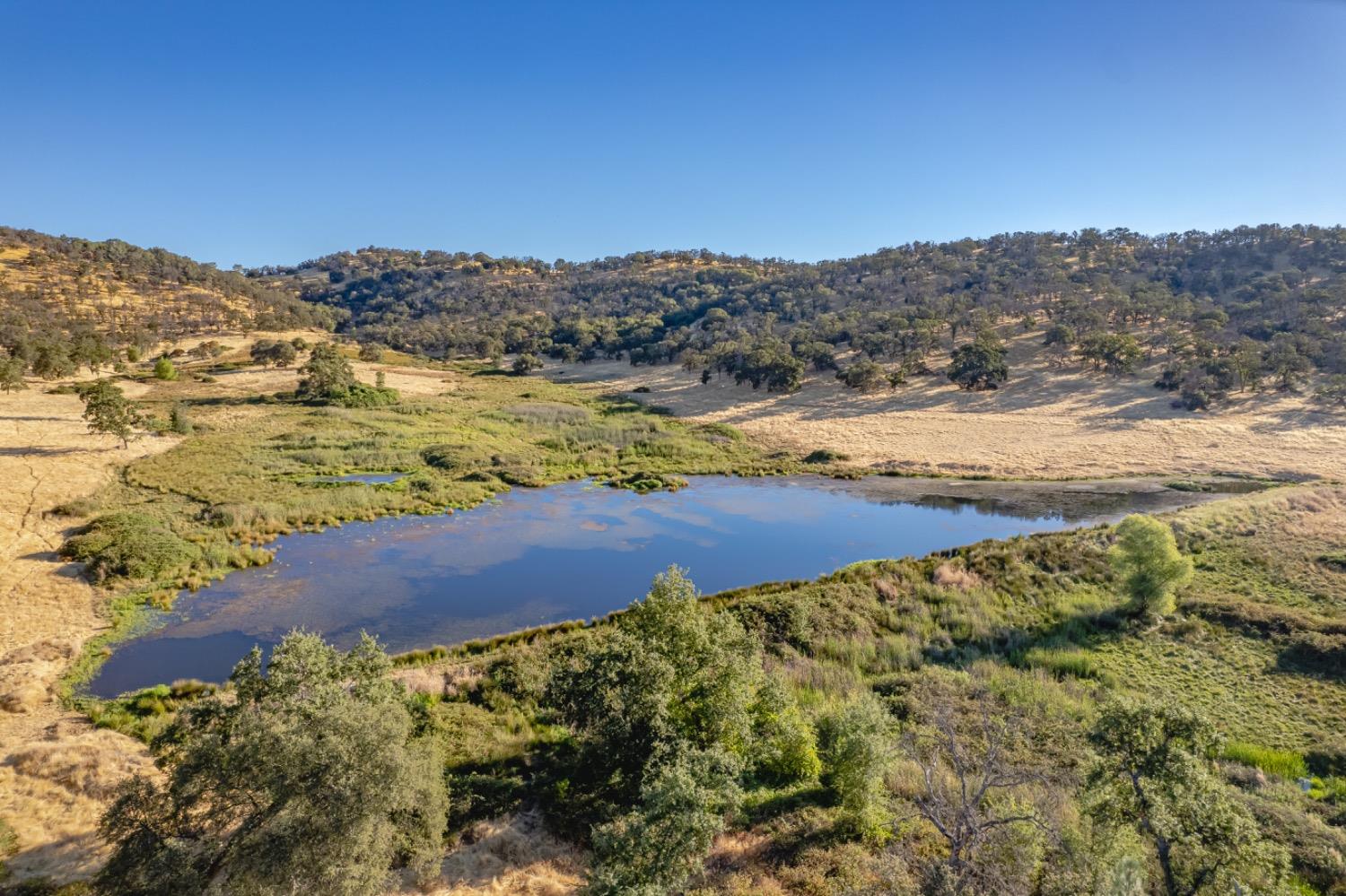 27044 McCourtney Road Grass Valley, CA 95949 - Photo 3 of 74