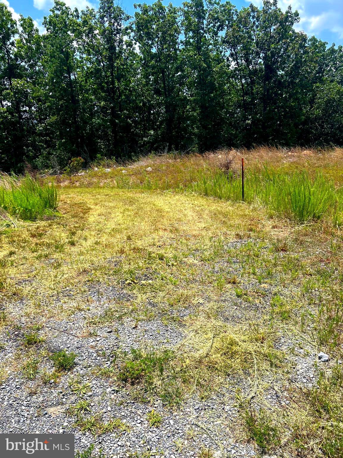 17 Reymann Drive Yellow Spring, WV 26865 - Photo 13 of 52 Entry to Tract 17 at chain gate