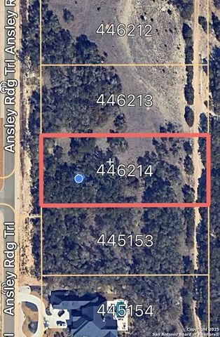 a view of a fruit basket