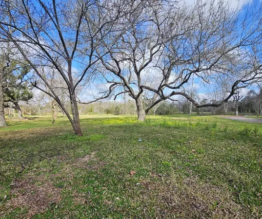 a view of yard with tree