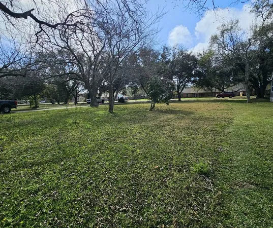 a view of a yard with an trees