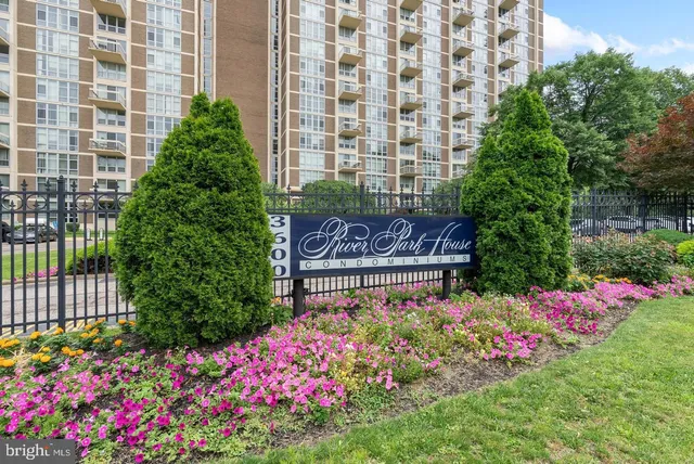 a view of a bunch of flowers