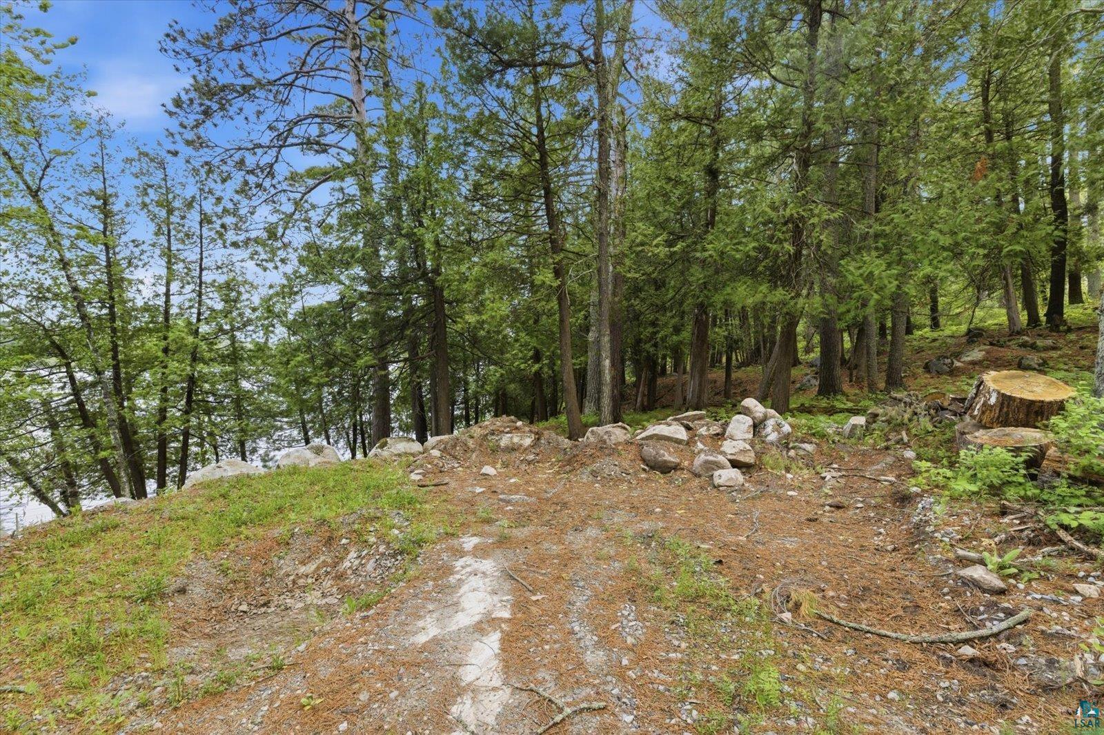 5298 Long Island Tower, MN 55790 - Photo 28 of 31 Wooded property featuring mature trees and natural ground cover