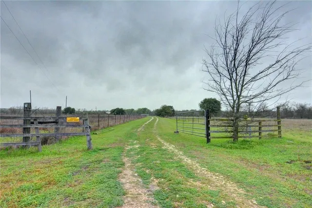 a view of a park with large trees