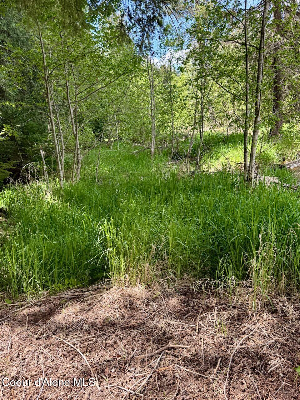 8213 Rapid Lightning Road Sandpoint, ID 83864 - Photo 35 of 40 Meadow by creek