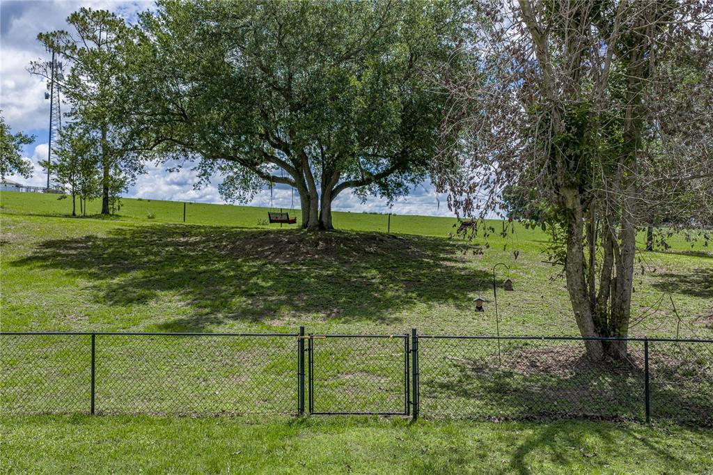 37624 Sky Ridge Circle Dade City, FL 33525 - Photo 78 of 83