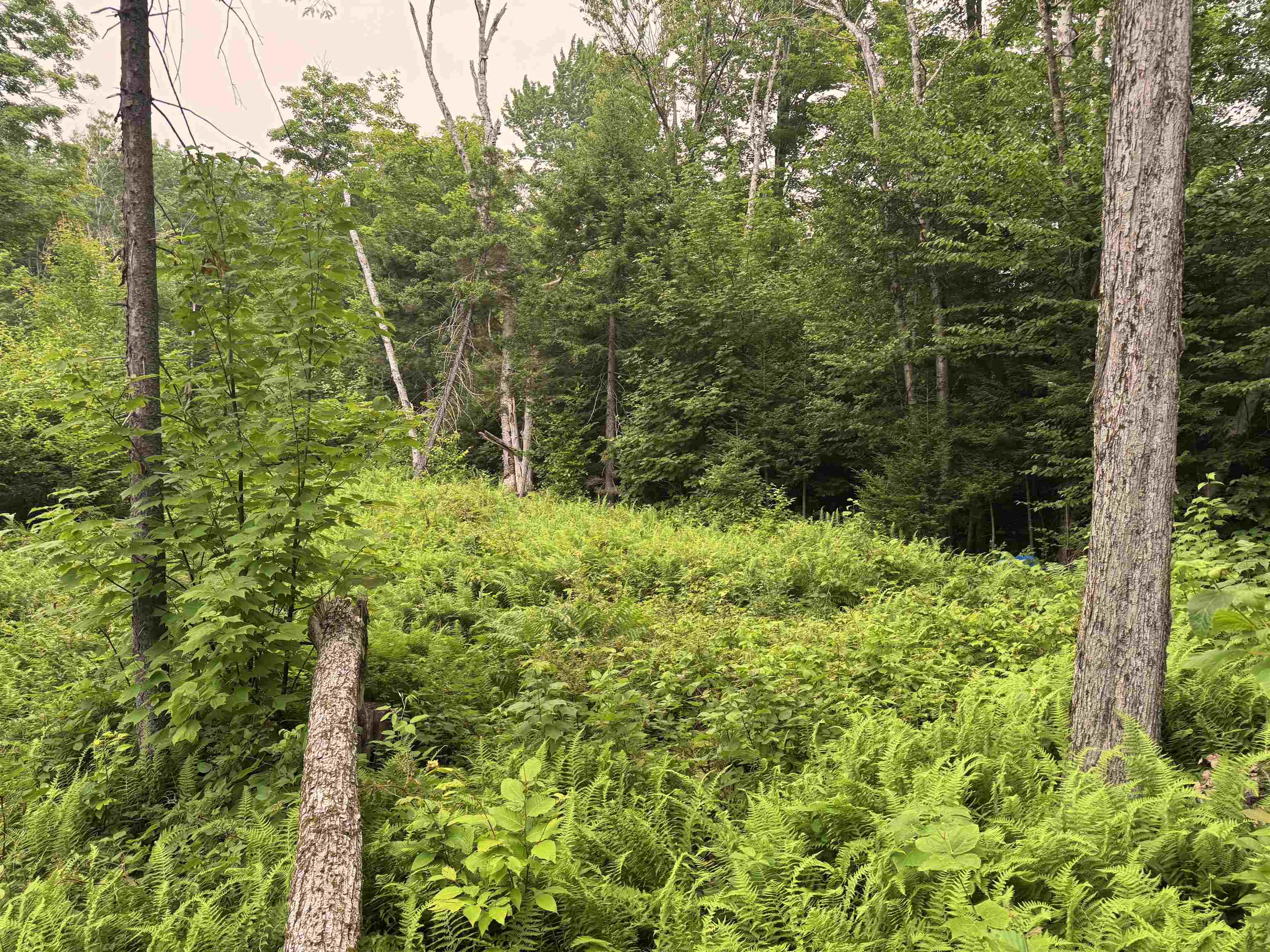 185 Valley View Road West Dover, VT 05356 - Photo 9 of 30