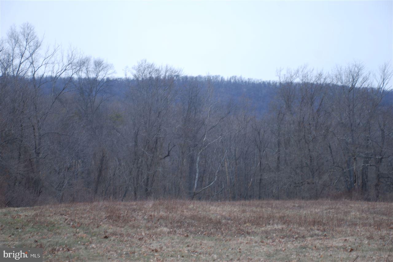 Lot 12 Airyview Road Shermans Dale, PA 17090 - Photo 1 of 1 Gallery Image 1
